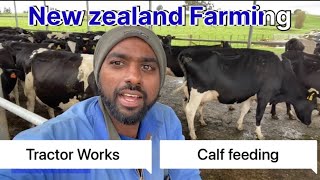 Daily routines dairy farming in new zealand #dairyfarming #Dayinlifenewzealand නවසීලන්තයේ ගොවිපල