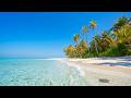 Peaceful Beauty: 3 Hours of Beautiful Maldives. VELAA Private Island