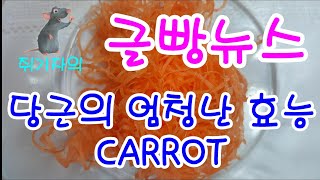 글빵 뉴스 (geulbbang news)당근의 엄청난 효능CARROT