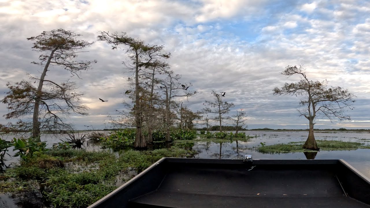 Florida Everglades 4k Uhd Pt 1 Youtube