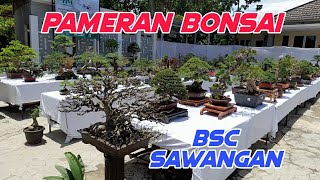 Pameran Bonsai PPBI  jengbreng BSC Sawangan Depok