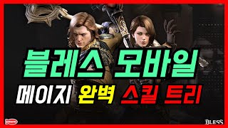 [제이] 블레스 모바일 메이지 (사냥,pvp)완벽 스킬트리