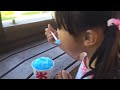 my daughter had a great time at the large park in odawara japan. 小田原こどもの森公園わんぱくらんどで娘が遊び満喫