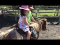 my daughter had a great time at the large park in odawara japan. 小田原こどもの森公園わんぱくらんどで娘が遊び満喫