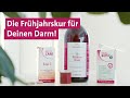 Frühjahrskur für Ihren Darm [OMNi-BiOTiC®]