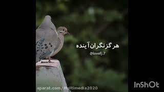 آرامش واقعی