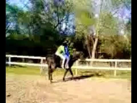 Riding Double Youtube