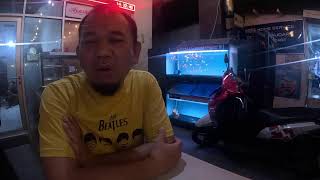 LIPUTAN DI PASAR IKAN  HIAS DILARANG OLEH YOUTUBE