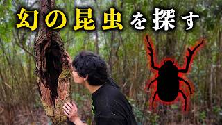 【貴重映像】幻の天然記念物を探しにいく！