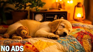 12 Hours of Healing Music for Dogs 🐾🎵 Reduce Anxiety, Help Dogs Relax \u0026 Sleep Deeply 💖