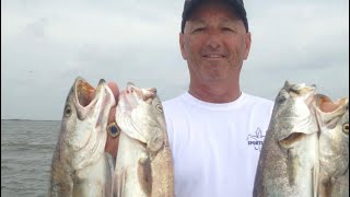 Mississippi Coast comes alive with limits of Big Speckled Trout