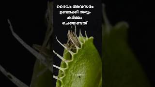 life's sparkles shorts inspirational motivational lifefacts Malayalam