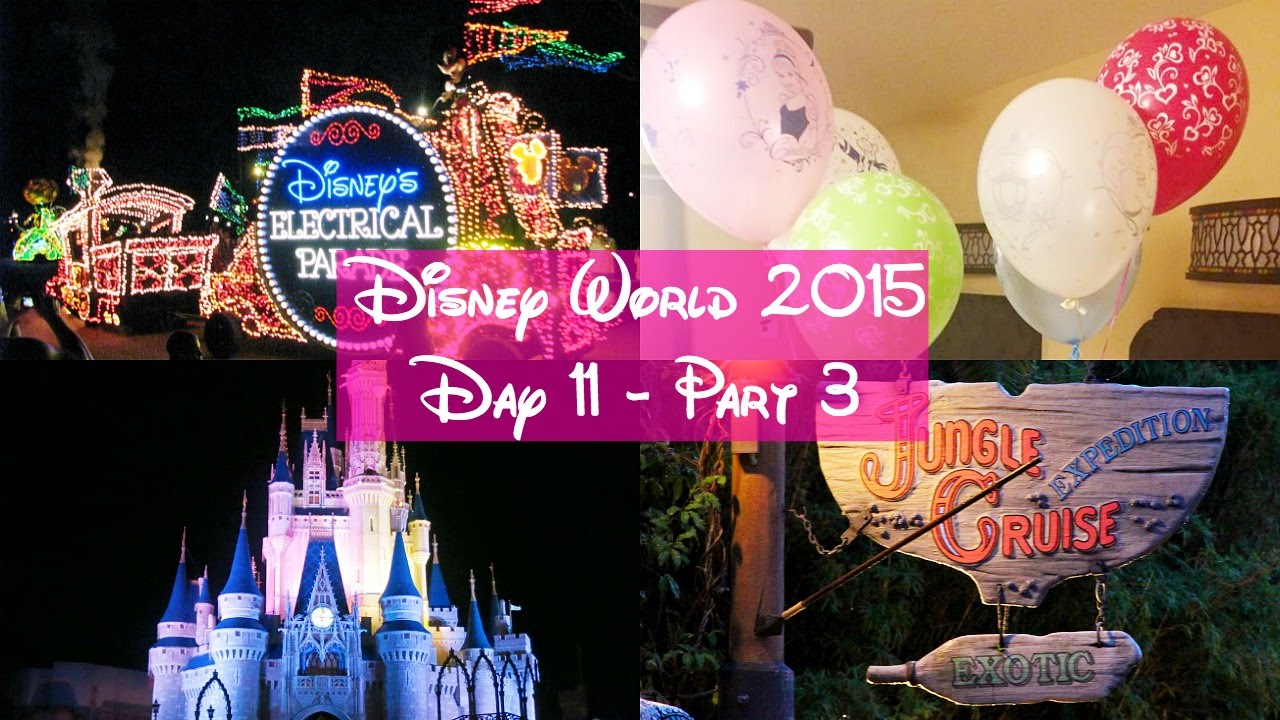 Disney World Vlogs 2015 Day 11 Part 3 Youtube