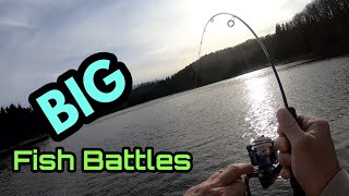 Big Fish Battles