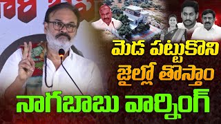 మెడ పట్టుకొని జైల్లో తొస్తాం | ওয়াইএসআরসিপি পেদ্দিরেড্ডি রামা চন্দ্রারেড্ডি সম্পর্কে নাগবাবুর মন্তব্য | জনসেনা