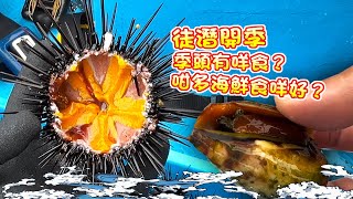 【漁人推介】香港水域 徒潛開季了，阿火帶大家出海玩徒手潛水，海膽，跳螺，盲蟹，狗爪螺，冧蚌超級肥美！船上即捉即食新玩法 Free Diving Catch and Cook  Sea Food