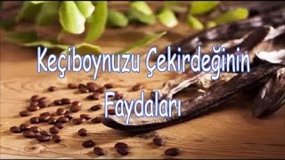 Keçiboynuzu Çekirdeğinin Bilinmeyen Faydaları Nelerdir