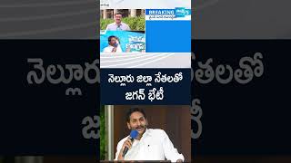 #ysjagan Meeting #nelloredistrict #ysrcpleaders #ytshorts #sakshitv