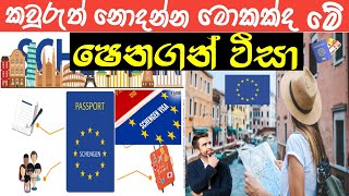 Schengen  Visa Sinhala  |  @LokaSancharakaya | new update | 2024