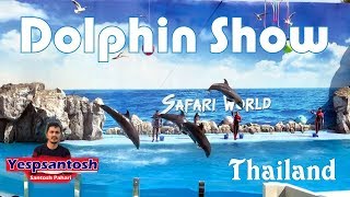 The most beautiful dolphin shows in the world || Dolphin show, Safari World, Bangkok, 4k Video