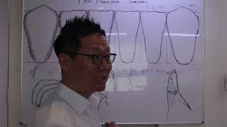 #3-21. #하악중절치형태이론#LowerAnterior#LowerIncisor#Morphology#EasyLayering#EasyShape - ⭐Part 2✌⭐