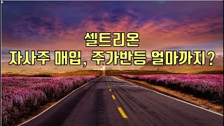 [ 주식 ] 셀트리온 자사주 매입, 주가반등 얼마까지 ?