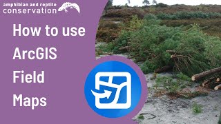 How to use ArcGIS Field Maps