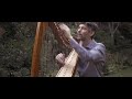 Bach's Toccata in D minor on lever harp - Josh Layne