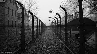 New study underscores urgent need for Holocaust education