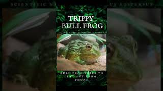Bull Frog gone TRIPPY ⚡ |  Bull frog 🐸