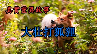 《真实灵异故事》大壮打狐狸