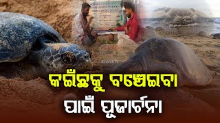 କଇଁଛକୁ ବଞ୍ଚେଇବା ପାଇଁ ପୂଜାର୍ଚନା। Youth Pray To Save The Olive Ridley | Dinarati TV