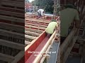 Building shuttering,Centering and staging work