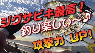 東扇島西公園、初めてのジグサビキで豆アジ＆コノシロ。高活性！