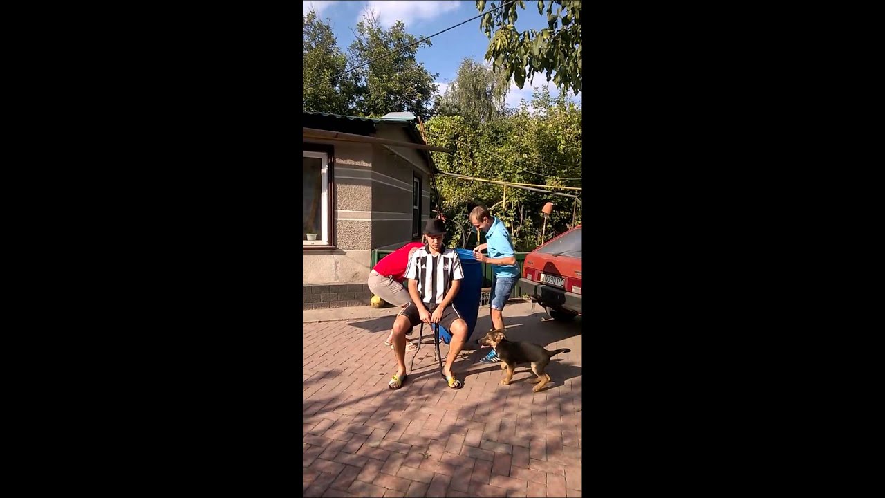 Wp 20140913 001 Youtube