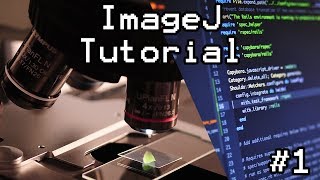 ImageJ Z-stack Batch Processing For Research