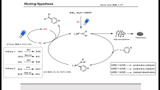 Synthesis Workshop: Dual Photoredox/Nickel Catalysis with Sebastian Gisbertz (Episode 28)