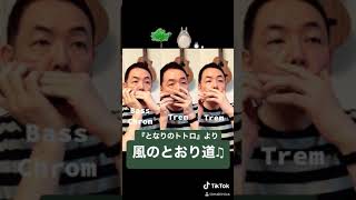 風のとおり道『となりのトトロ』より複音ハーモニカとクロマチックハーモニカ♪【朝モニカ♫】