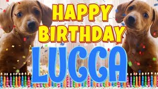 Happy Birthday Lucca! ( Funny Talking Dogs ) What Is Free On My Birthday