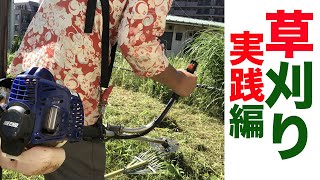 【草刈り】やり方を解説【実践編】