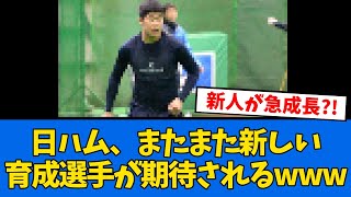 【急成長】日ハムまた新しい育成投手が出てきた模様www  【プロ野球反応集】【2chスレ】【5chスレ】