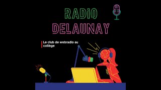 Radio Delaunay | Teaser pour la webradio du collège