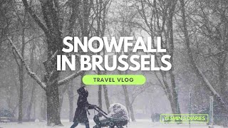 Snowfall in Brussels: A Magical Winter Day | Yesmin's Diaries