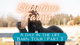 I Spent 24 Hours with a Horse and Here's What Happened!