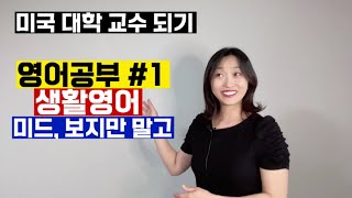 [미국교수되기] 영어 잘하려면 1. 생활영어: 미드 보지만 말고 다양한 사람들과 교제하기