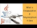 Java Encapsulation & Polymorphism (Tutorial #3 - Part 4)