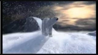 Nordisk film Polar bear.wmv