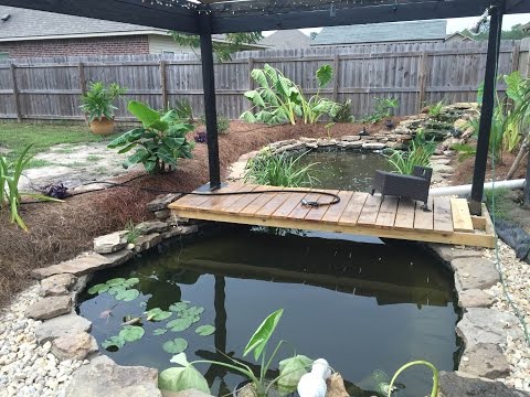 I'm back! Huge koi upgrade! I'm back! Huge koi upgrade!