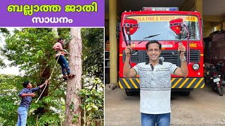 ലോകത്തുള്ള ഏത് വന്മരങ്ങളിലും ഇനി എളുപ്പത്തിൽ കയറാം | wood climbing gear | fz rover | malayalam