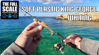 Soft Plastic King George Whiting | The Full Scale